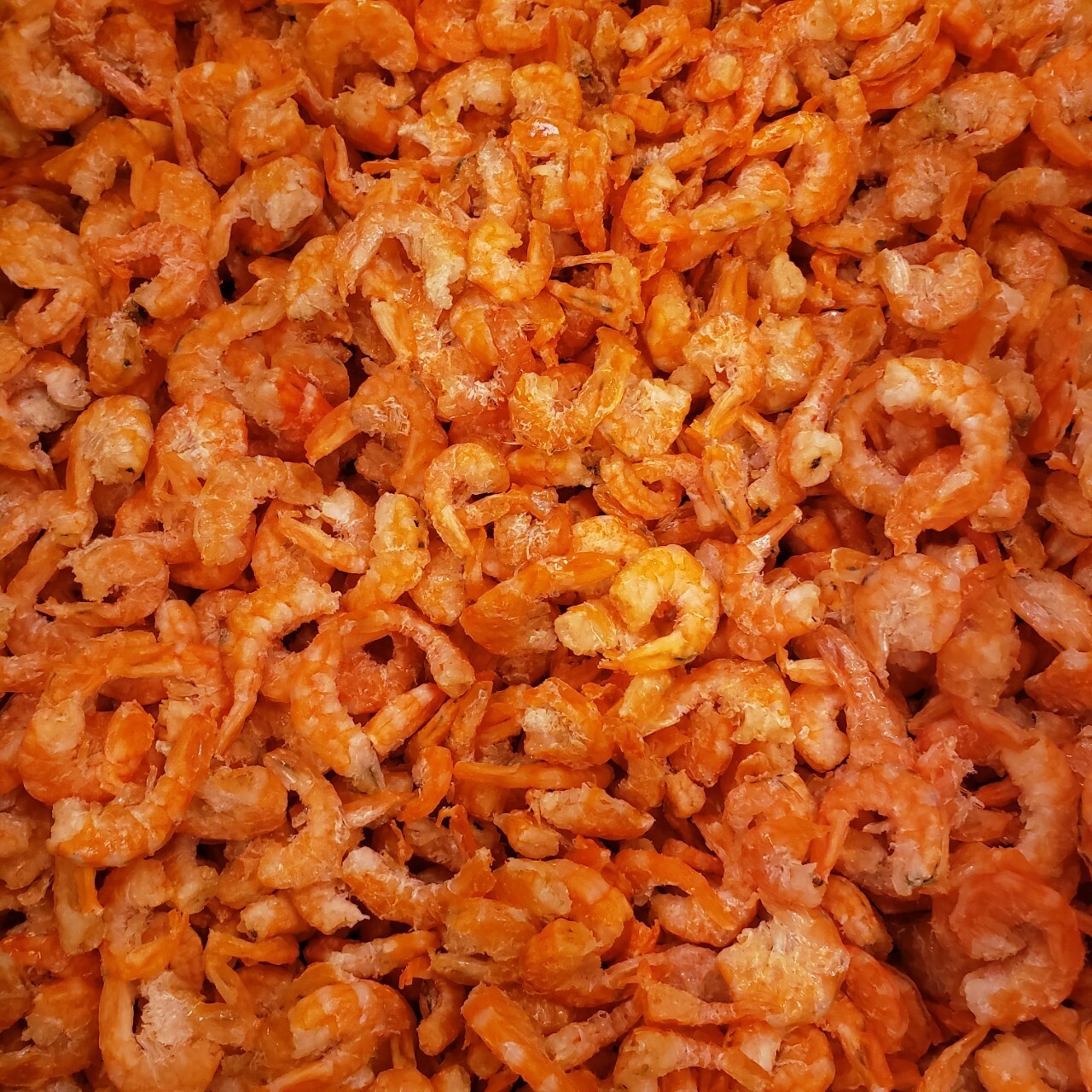 1LB Dried Shrimp 蝦米 - US Seller!