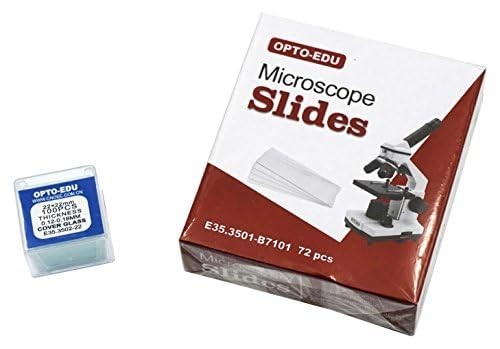 E35.3501 Blank Microscope Slides & 100-Pieces Square Cover Glass Slide Kit 1 Set
