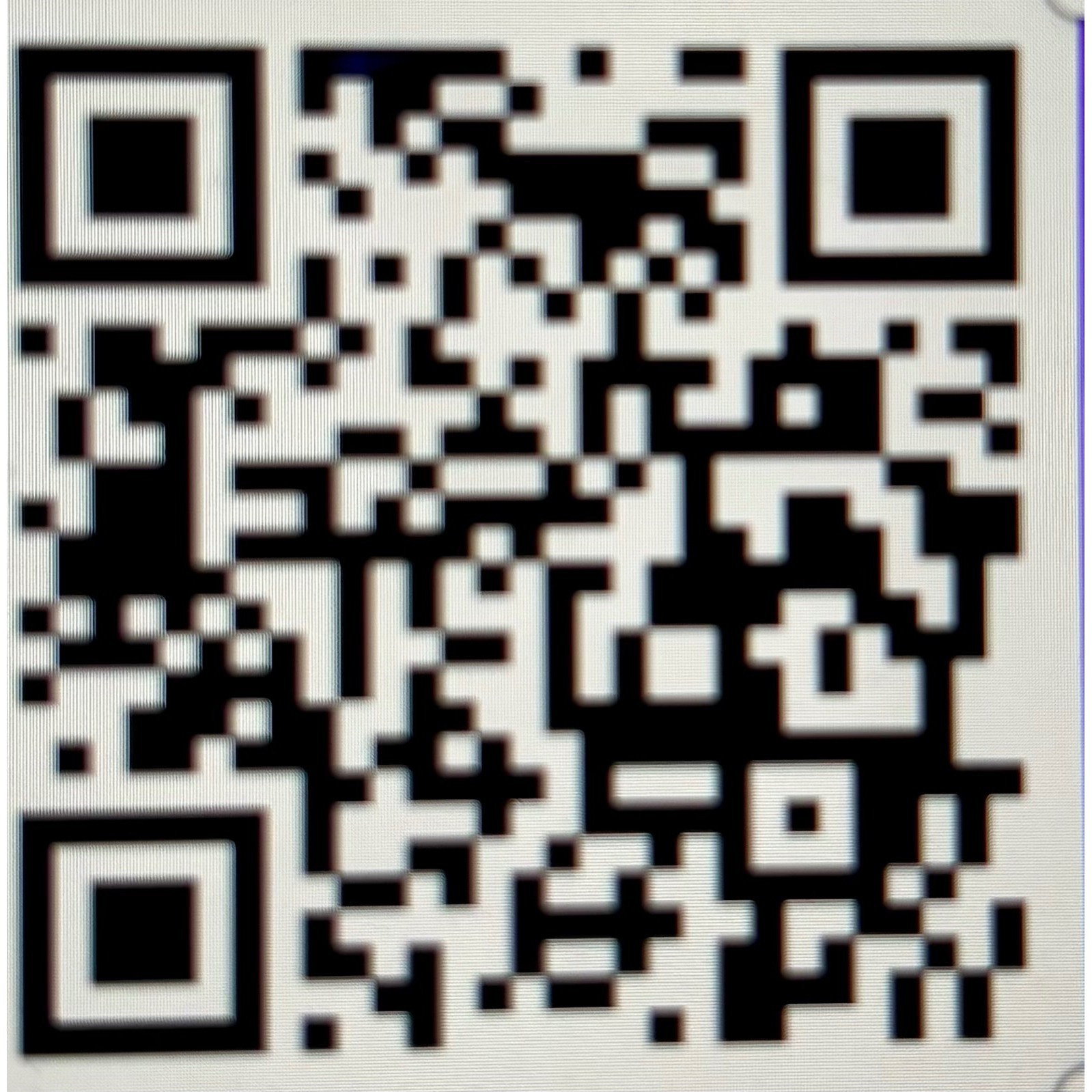 Car Trash/Utility Tote Bag NU Herby Crest Design 9" w x4" dx 12" l Handmade