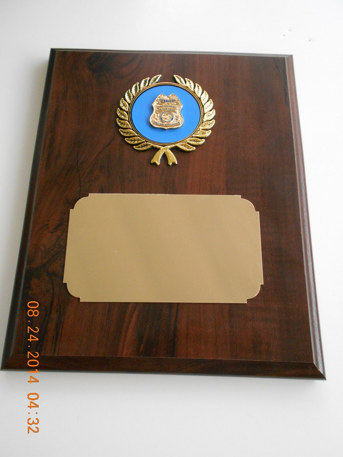 US ARMY Military Intelligence Mini Badge with pins