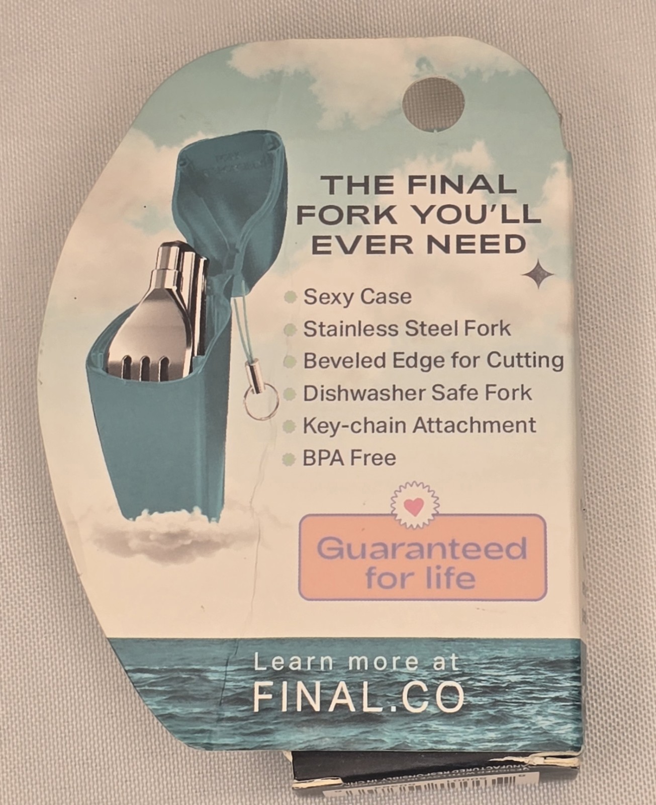Final Fork Stainless Steel Collapsible Cyan-ara Plastic Case, Silver Fork