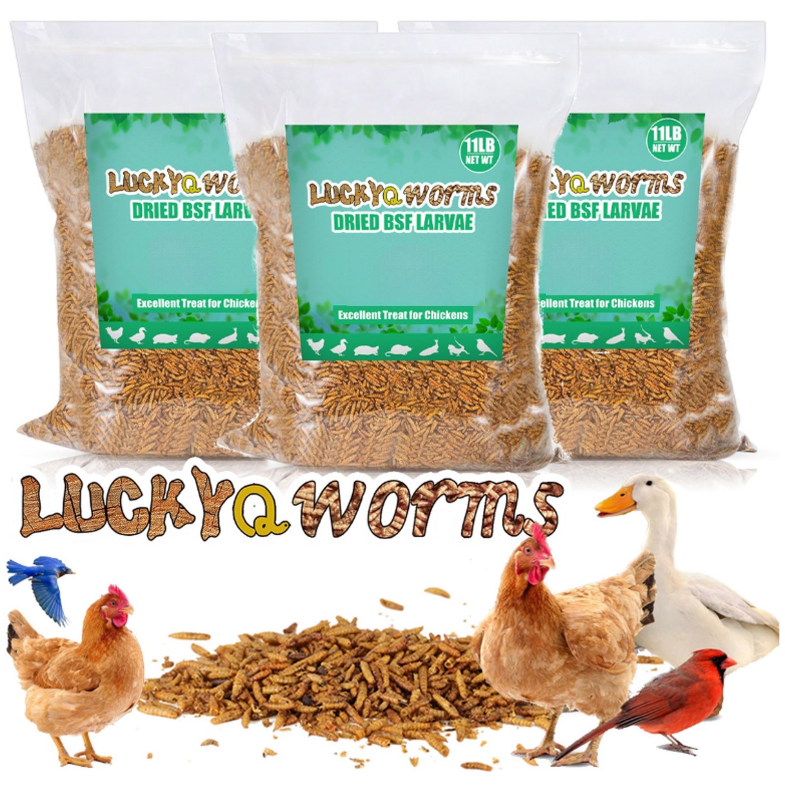 Lot Bulk 5-44LB Dried Black Soldier Fly Larvae Mealworms for Chicken Birds Treat