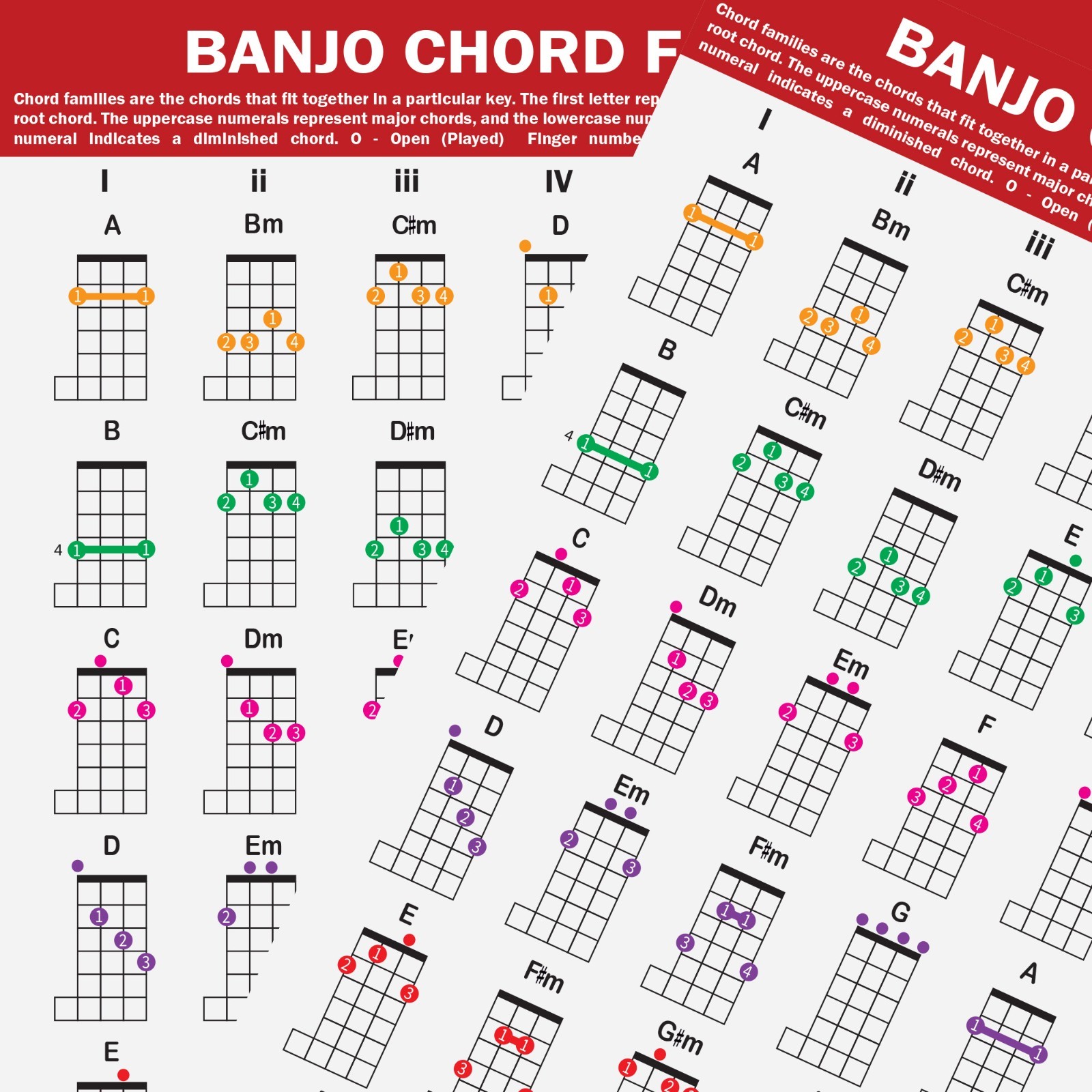QMG Banjo Chord Families Poster (11"x17") – Laminated Chart 49 Color-Chords
