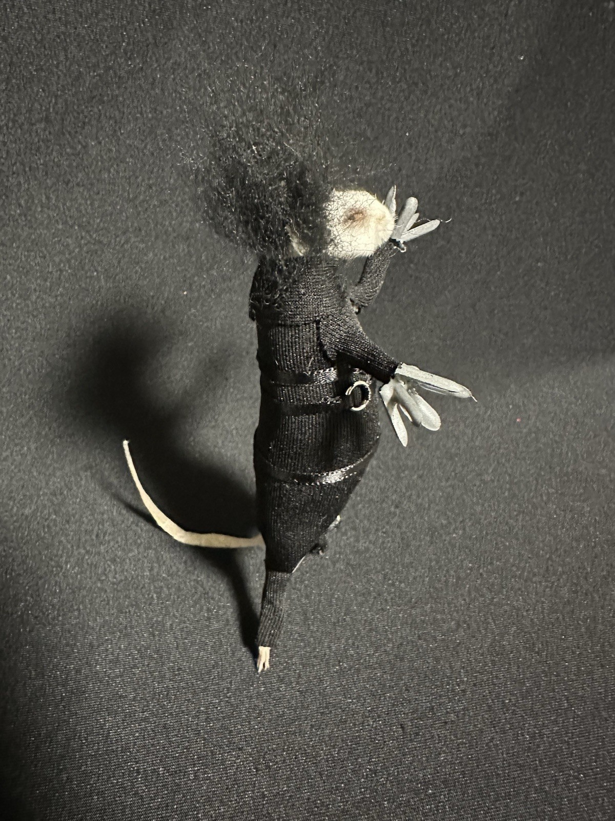 Taxidermy Mouse Edward Scissorhands Mouse Oddities Curiosities Taxidermy Art