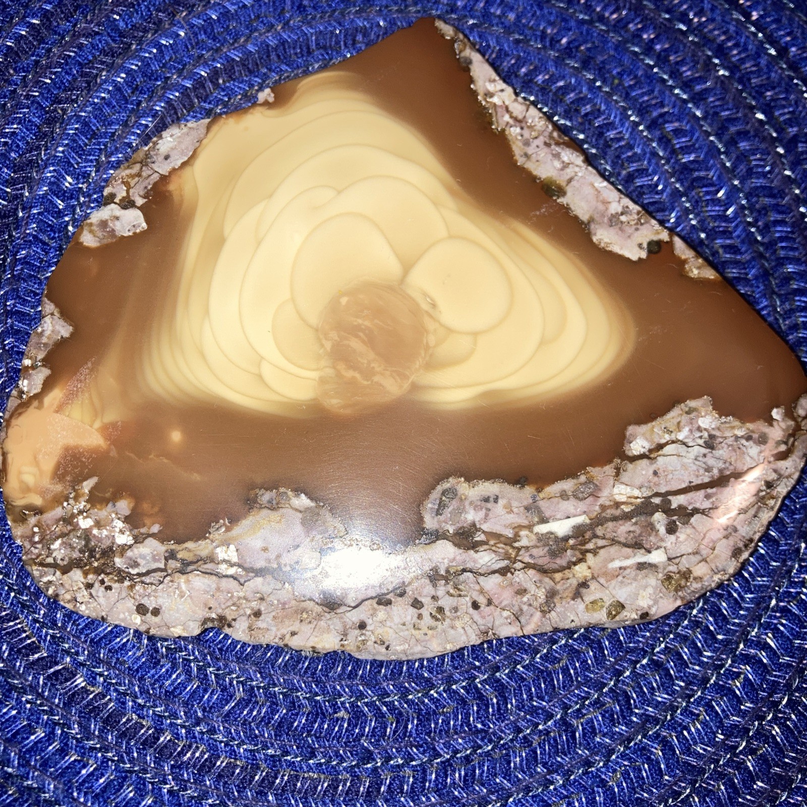 Bruneau Jasper Slab-One Side Polished-Many Orbs And Light Cream Color-2.9oz/83g