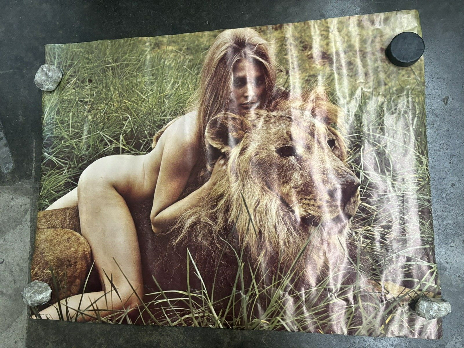 Girl with lion 1970's vintage Poster hot girl C2538