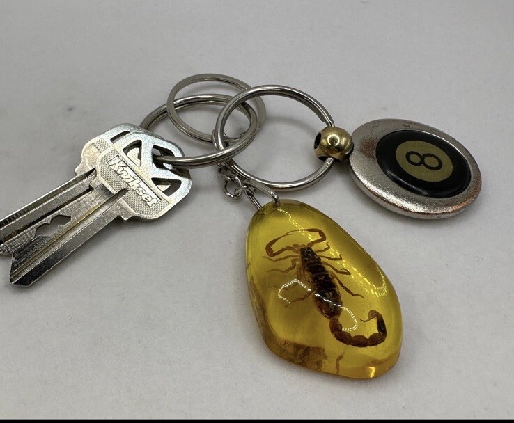 Scorpion Amber Keychain, Scorpion Keychain, Unique Keychain,  Arizona Gift