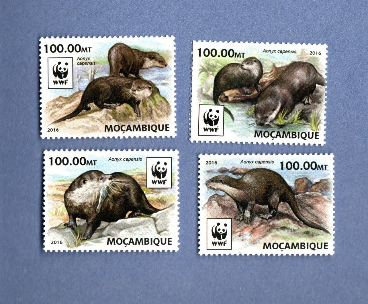 MOZAMBIQUE MNH WWF OTTERS [2016]