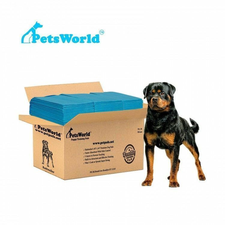 PETSWORLD Extra Large Dog Training & Potty Pads (30x36 inch) 50 - 600 Count