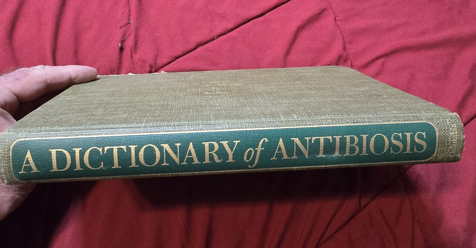 RARE Medical Book 1951 DICTIONARY OF ANTIBIOSIS-Comprehensive