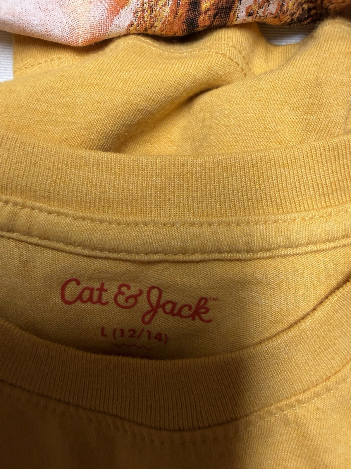 Boys Kids Lot Large 12-14 Clothes Shorts Pants Shirts 28 Pieces mixed brands