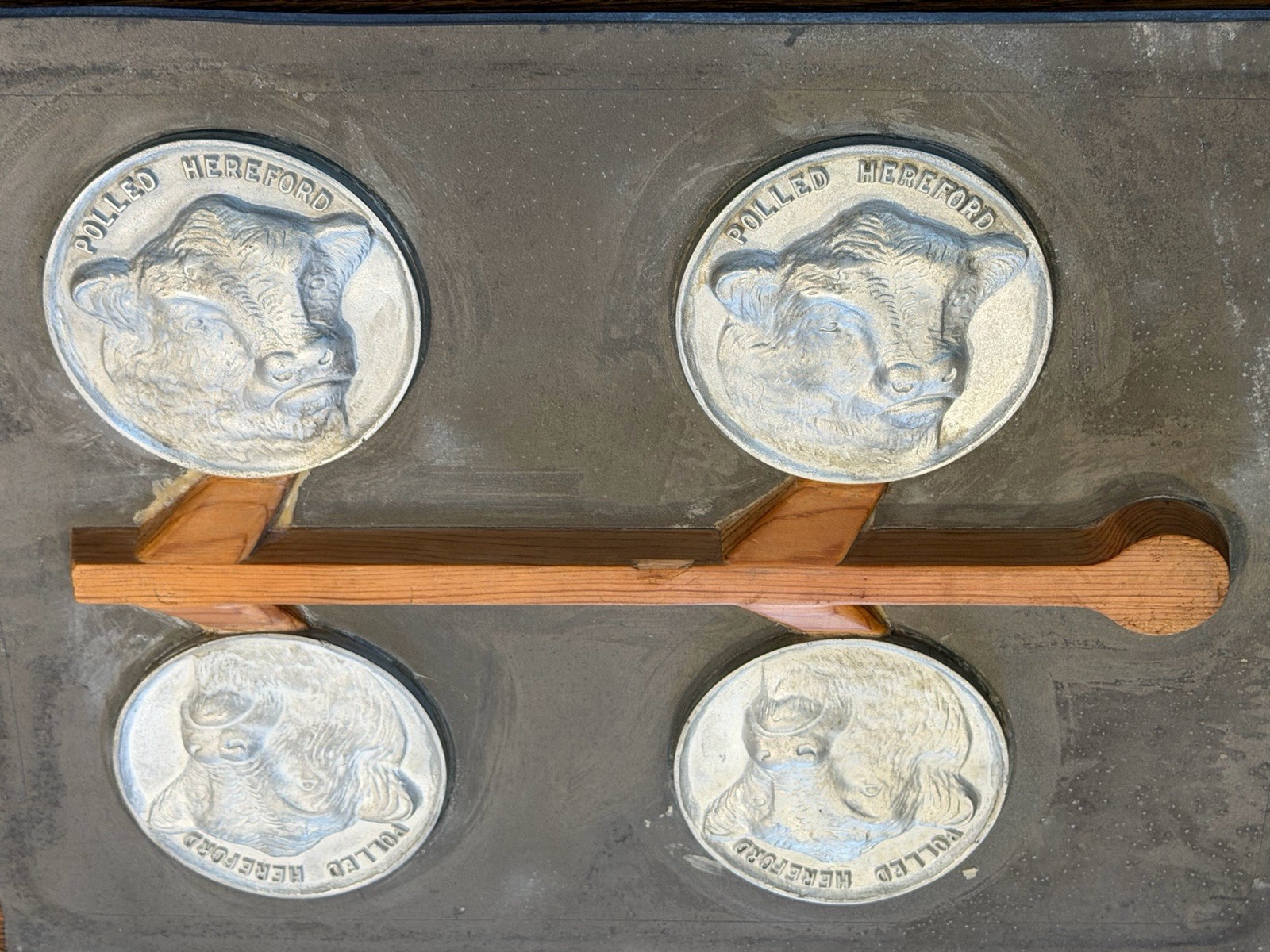 Vintage Industrial Aluminum Foundry Mold Pattern Polled Hereford Cows Sculpture