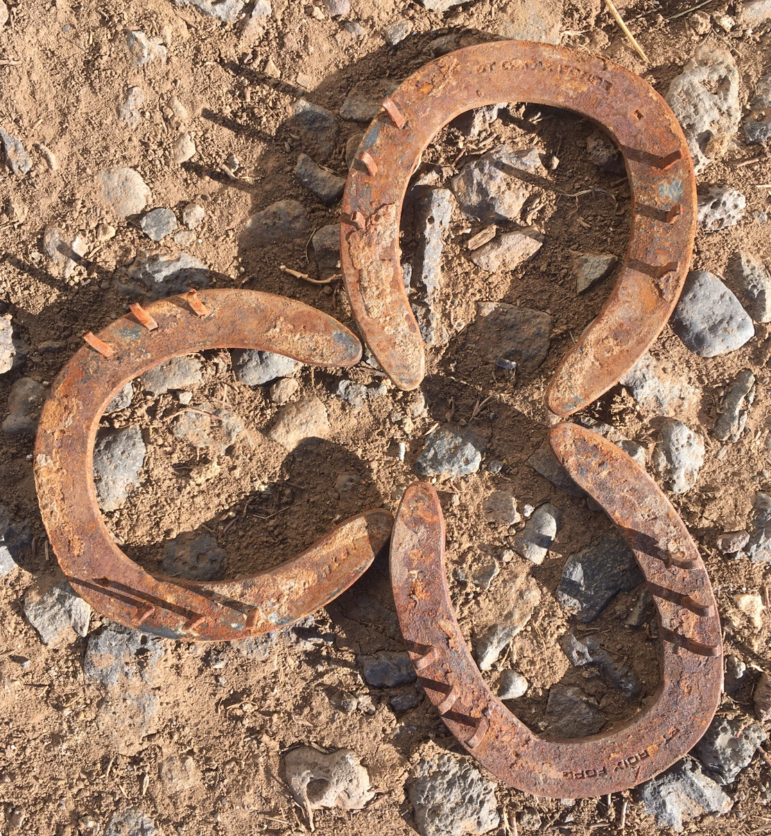 Horse Shoes, Ridden In The Rocky Mountains; Horse Shoe; Horseshoe; Horseshoes