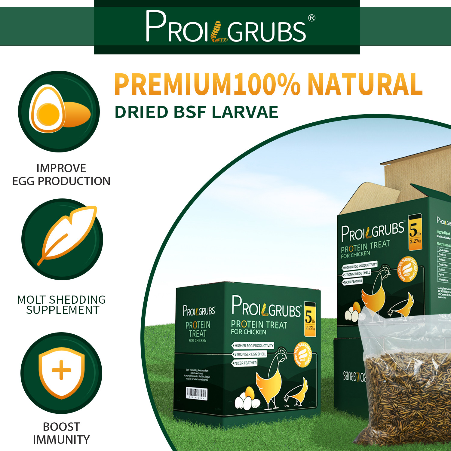 PROILGRUBS 10 LBS Non-GMO Dried Black Soldier Fly Larvae for Chickens,Birds