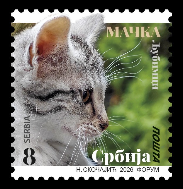 Serbia 2026, Cat, pet, fauna, definitive stamps, 8d, MNH