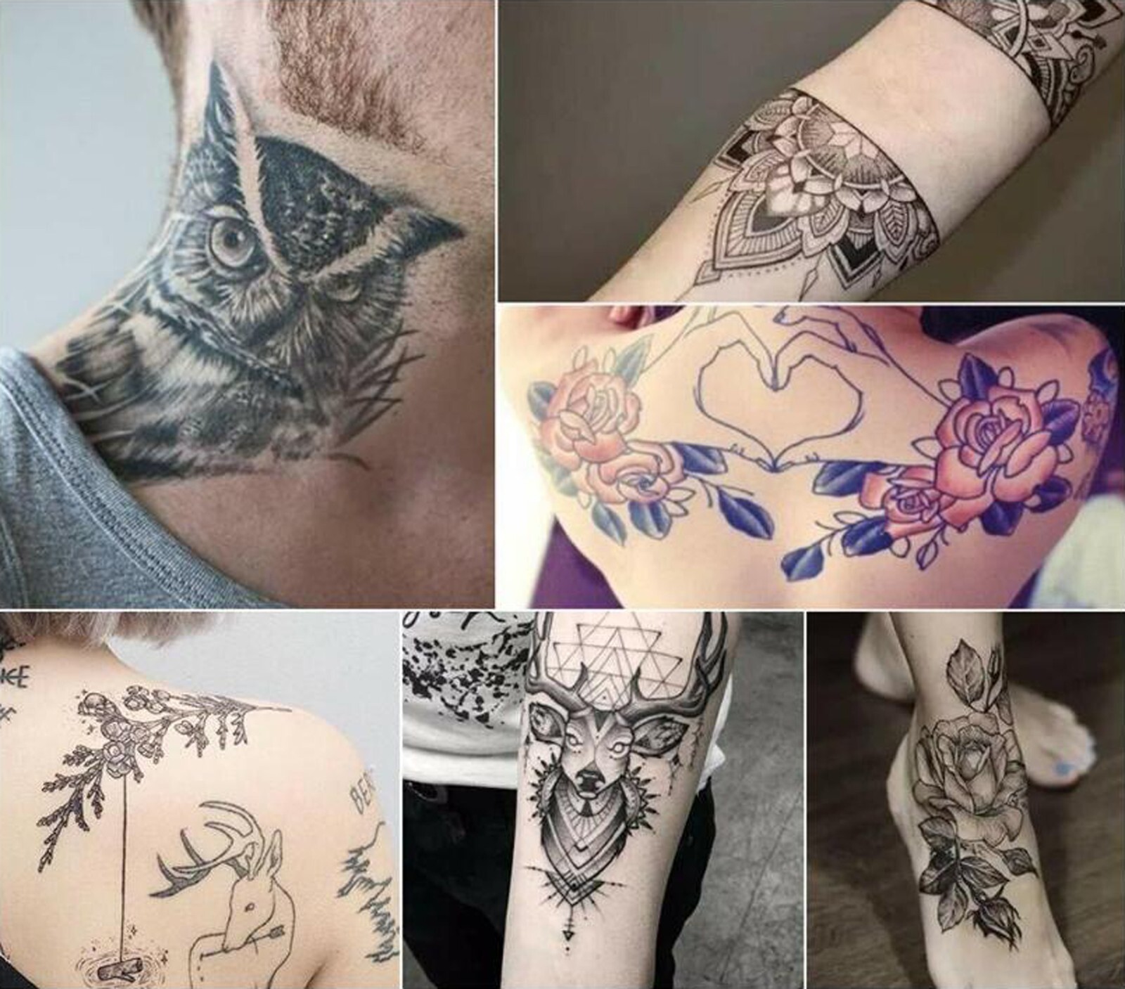 25,50,100 pcs Sterilized Tattoo Needles and Matching Tips RL/RS/F/M1/M2/RM