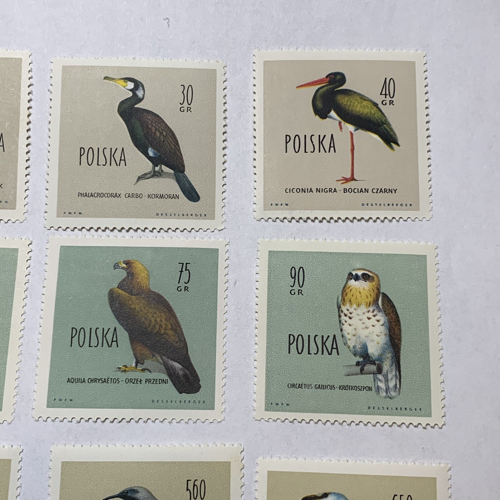 1960 POLAND MNH OG STAMP #935-946 COMPLETE SET PROTECTED BIRDS