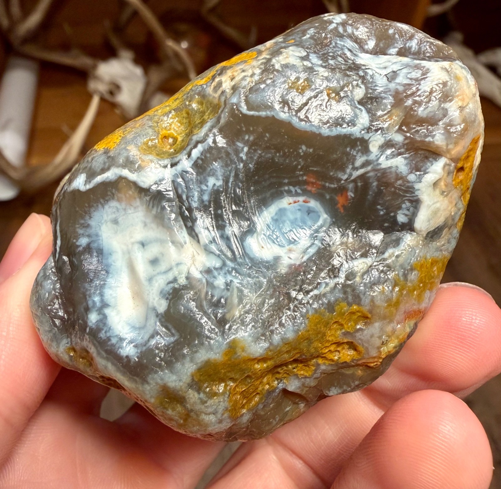 10.25oz LAKE SUPERIOR AGATE BIG BLUE JELLY SUNBLEACHED AND LIMONITE STAINING