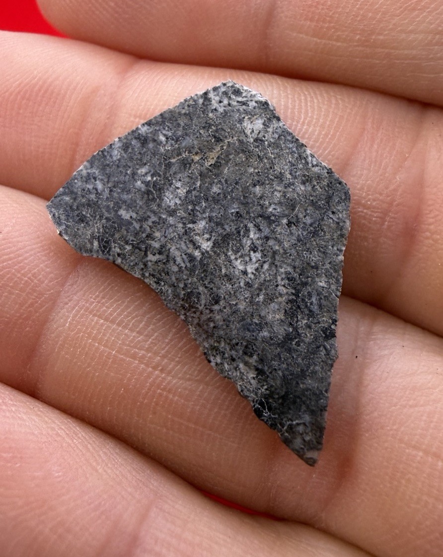 Amgala 001 Martian Meteorite Slice, Shergottite Mars Rock, Rare Meteorite, 1.91g