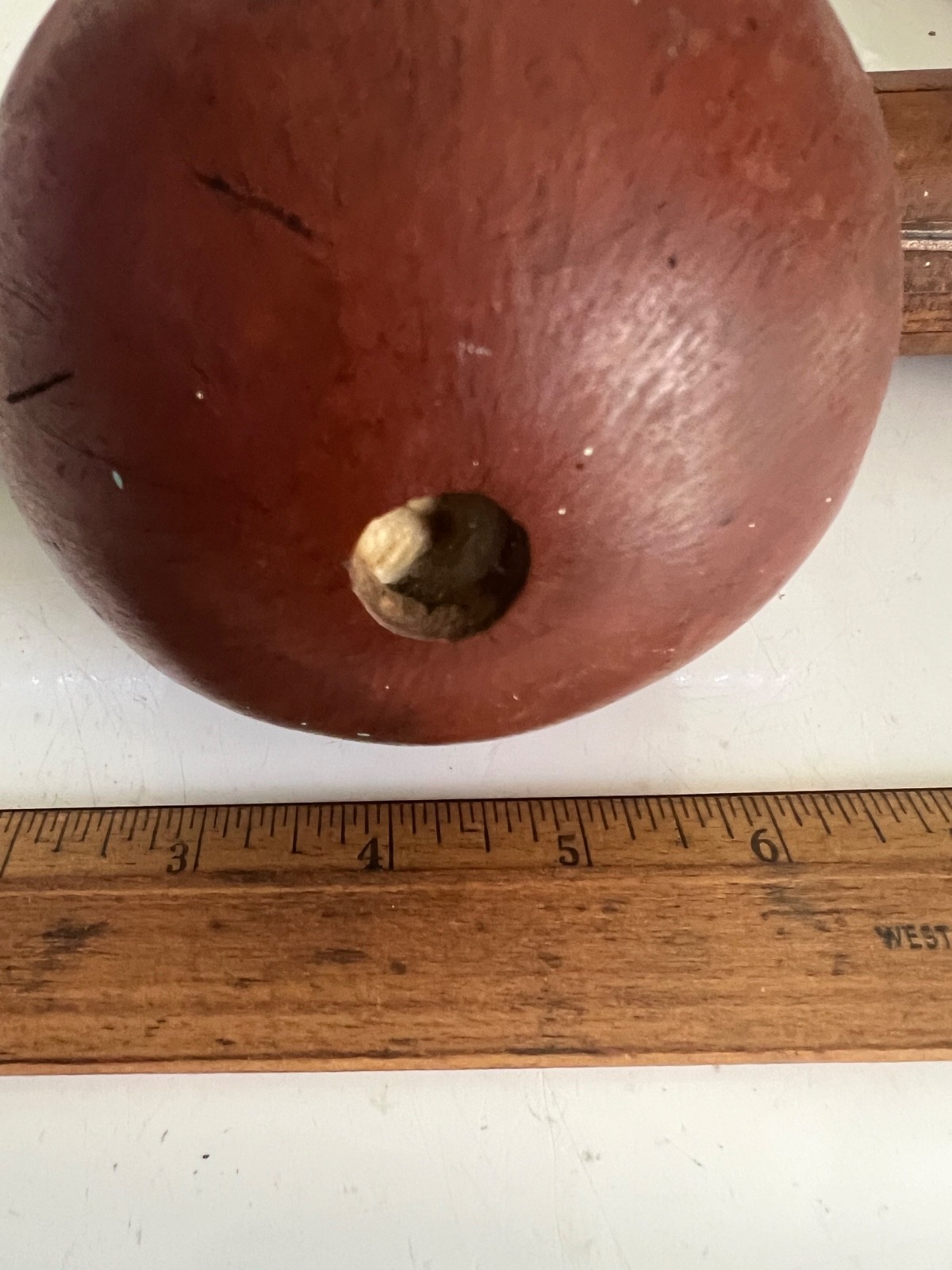 ANTIQUE AMAZON INDIAN DART CONTAINER QUIVER