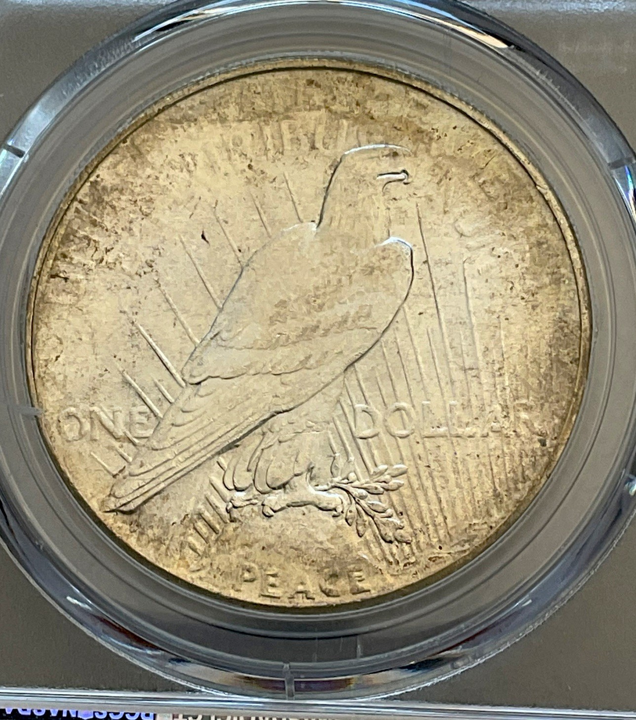 1926 P Peace Silver Dollar $1 PCGS MS65+ CAC High Grade Beauty Free Shipping