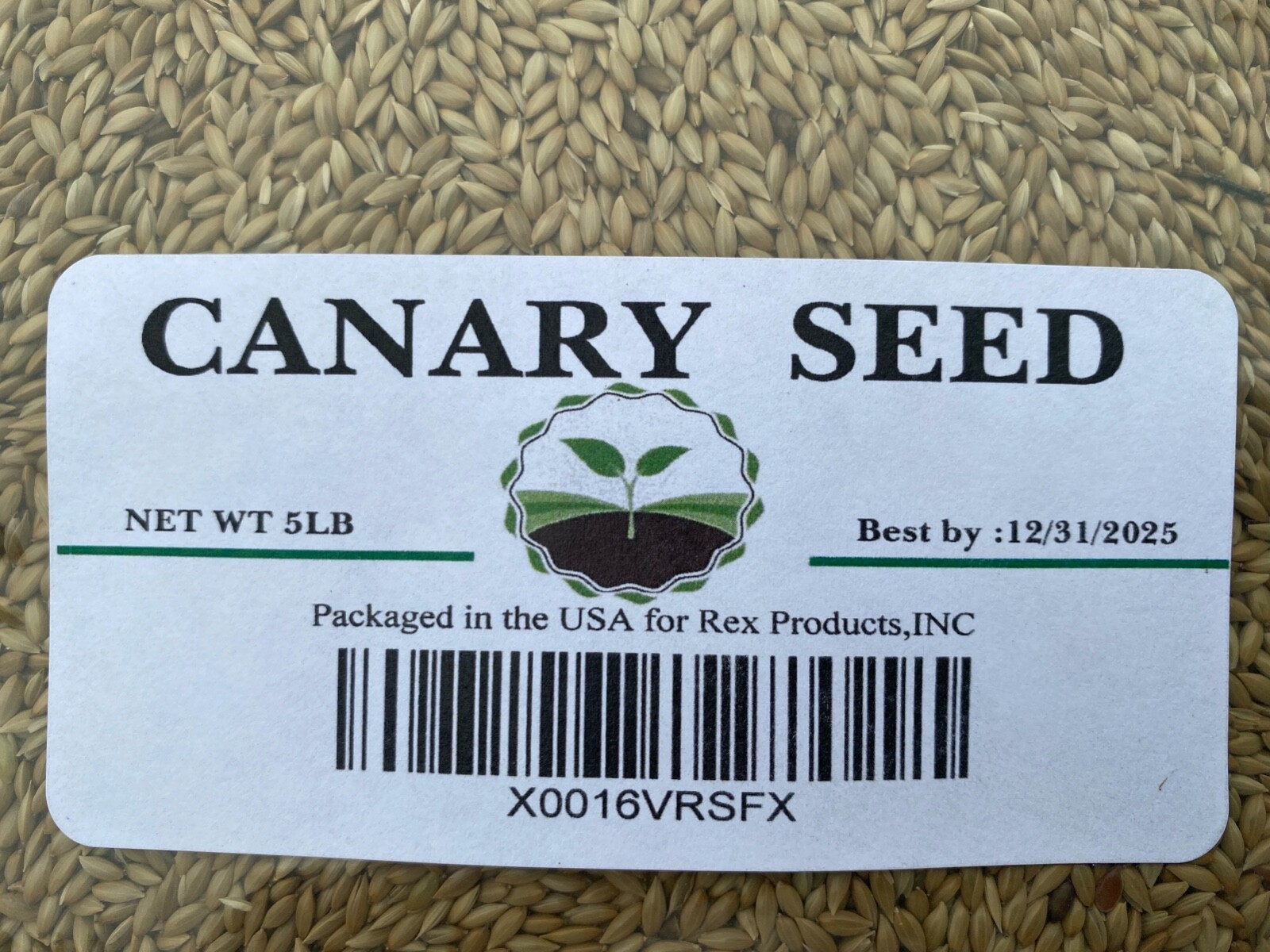 5 LB Canary Seed -Clean and Fresh