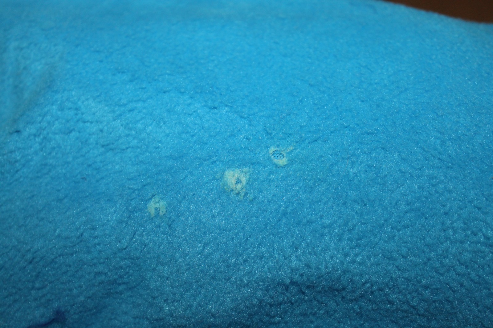 2004 CARE BEARS Convertible Sleeping Slumber Bed Bag Chair CAREBEARS Vintage