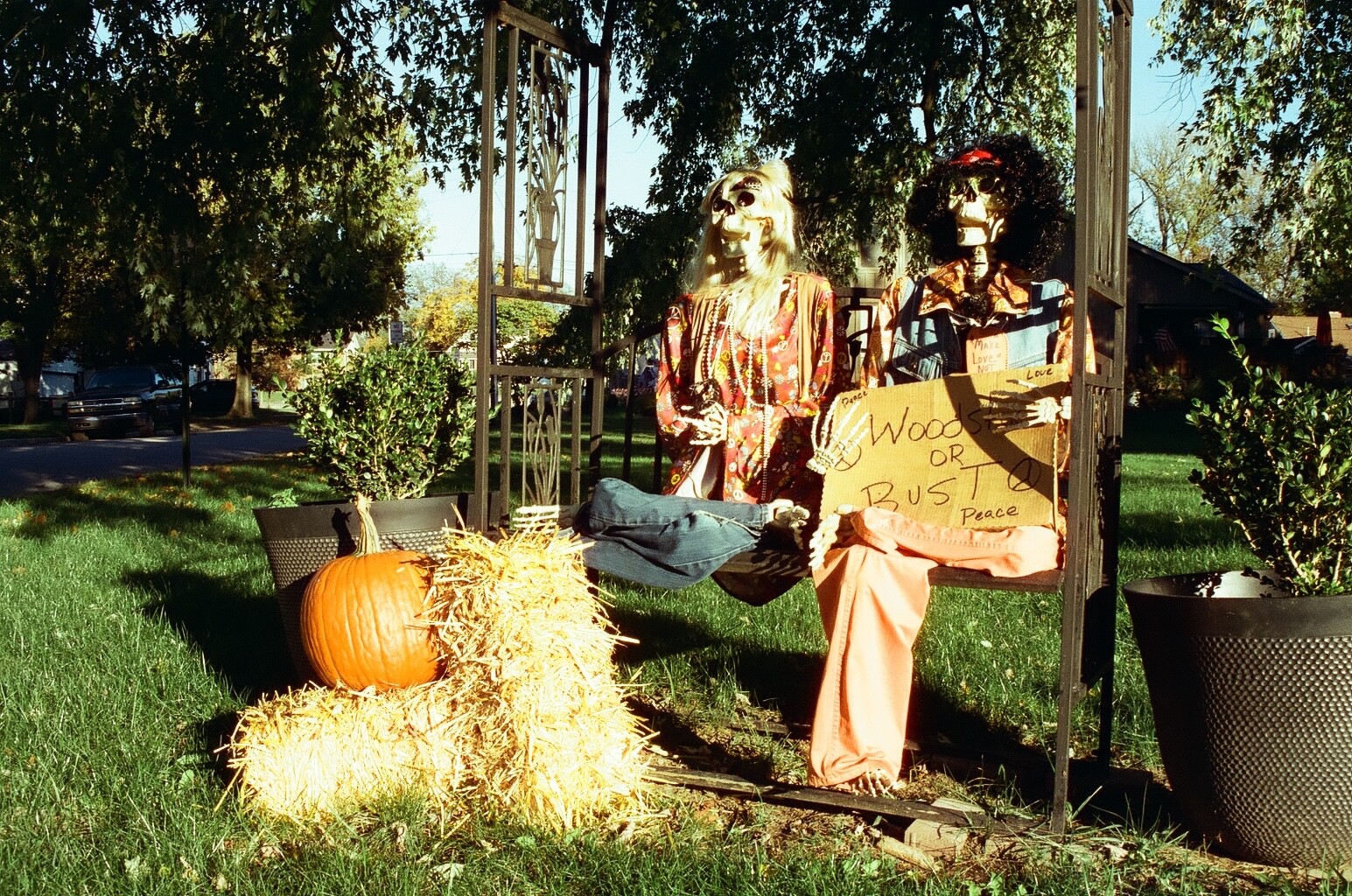 Cyberpunk 400D 36 exp C41 35mm Color Negative Film NO REMJET Kodak Vision3 250D