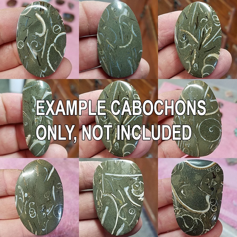 Purisma Formation Fossil Limestone, Cabochon Slabs Preforms 13 Pcs, Flat 135