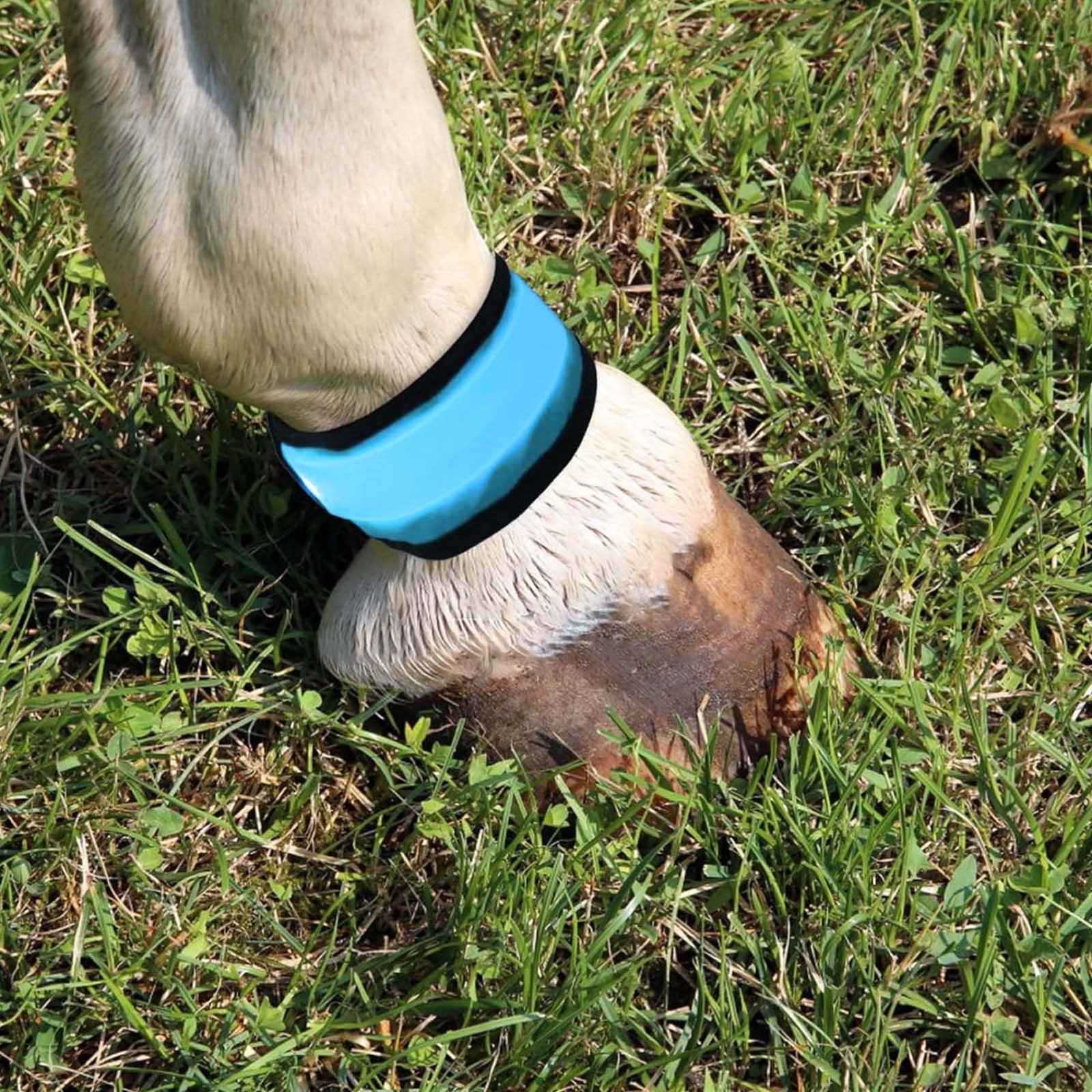 4pcs LED Horse Leg Band Reflective Animals Foot Wraps