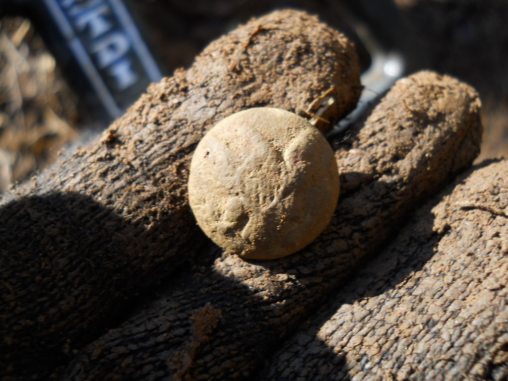 Old Rare Vintage Antique Civil War Relic Eagle Button Recovered Appomattox, VA