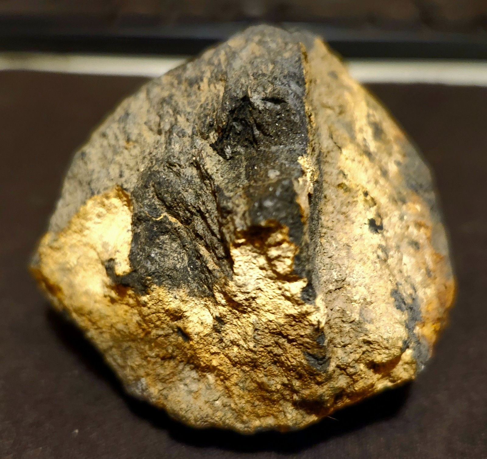 Gold and Platinum Mineral Specimen/ Black Hills South Dakota