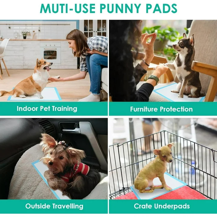 XL 100 Puppy Pee Pads 23''x23" | Cheap Pee Pads | Dog Training/Mattress Use