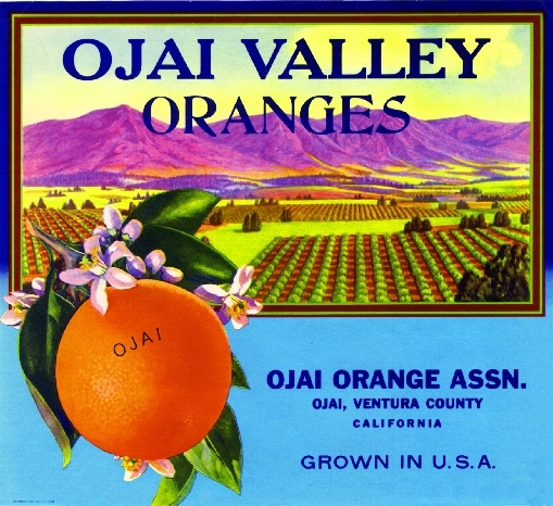 Ojai Ventura County Ojai Valley Orange Citrus Fruit Crate Label Art Print