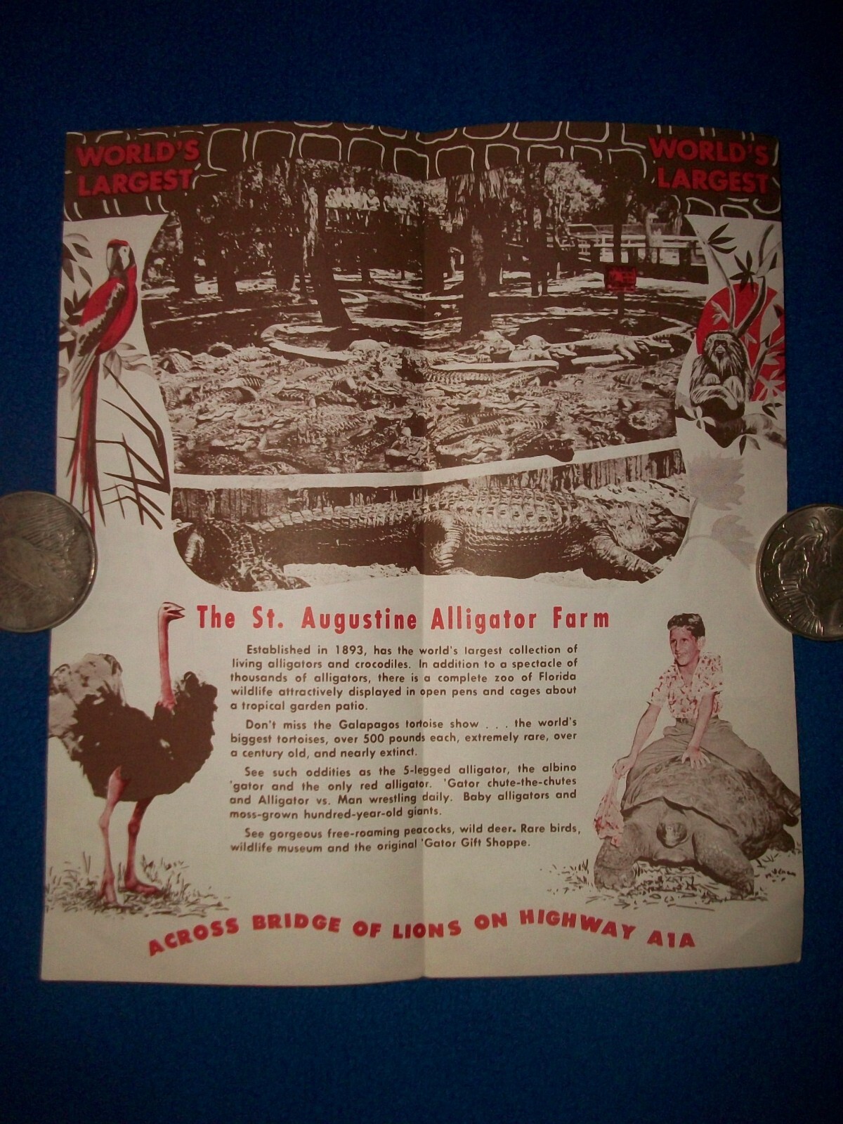 St. Augustine Alligator Farm travel brochure 1950s or 1960s