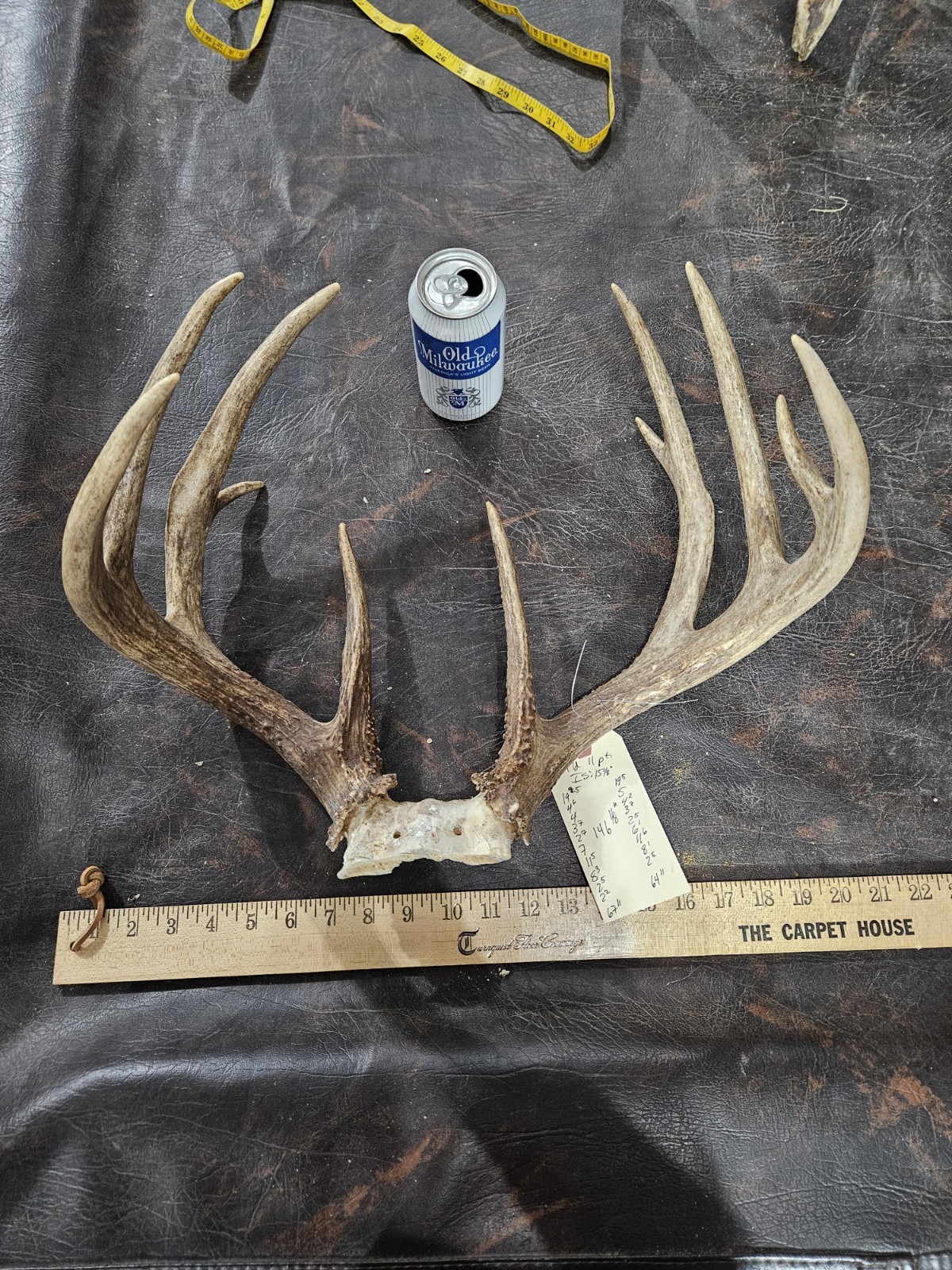 Wild 11 Point Whitetail Deer Antler Rack Horn Skull Plate Decor Man Cave 146"