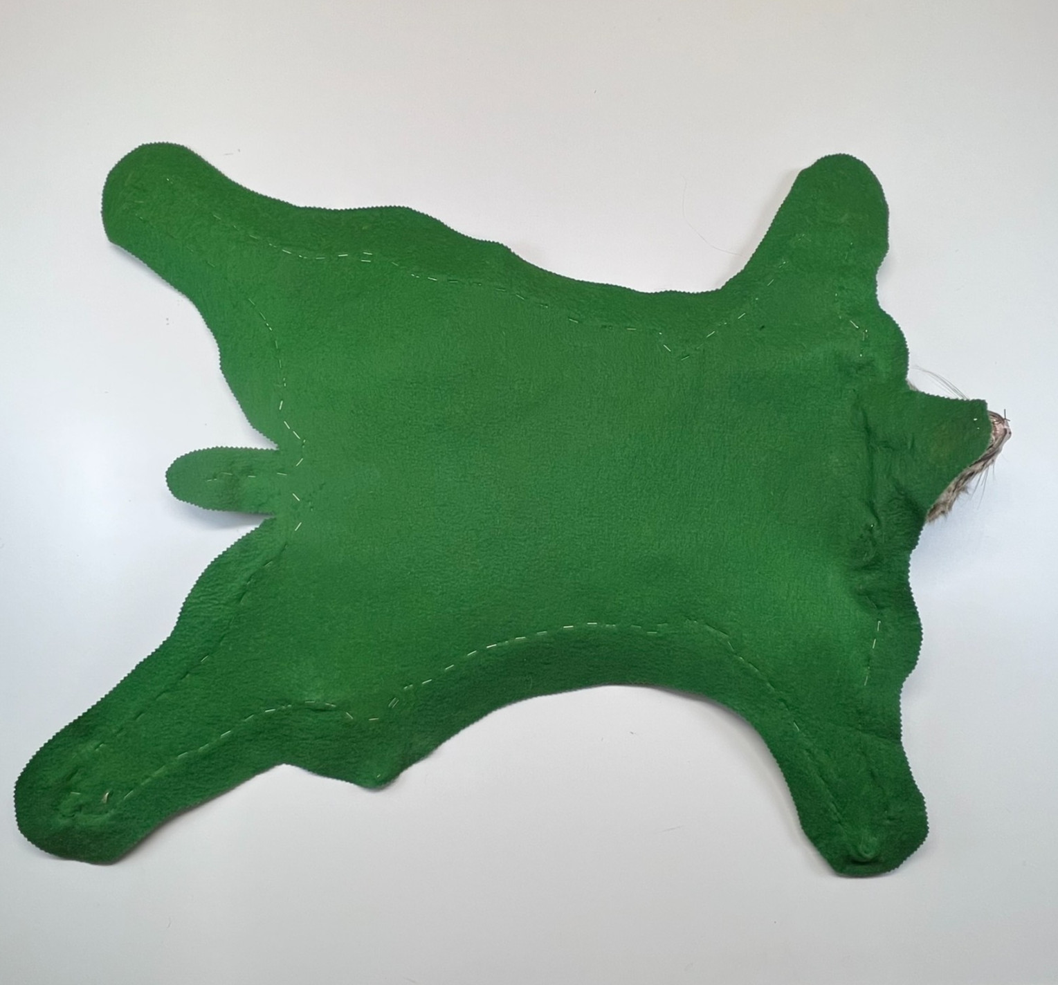 Vtg. Bobcat Taxidermy Rug Mount Full Body Green Felt Border Rustic Cabin Decor