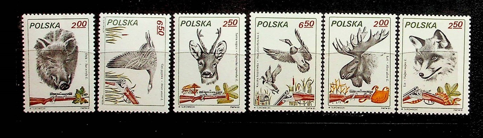 POLAND Sc 2450-55 NH ISSUE OF 1981 - ANIMALS - (CM26)