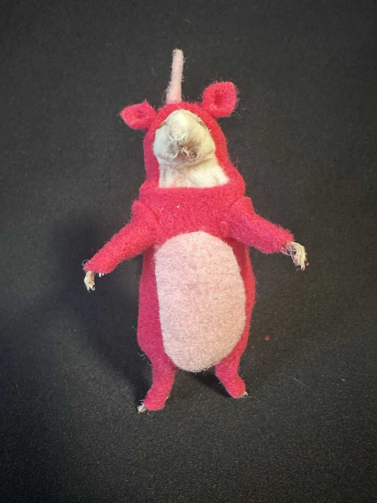 Taxidermy Mouse Dinosaur Mouse Oddities Curiosities Taxidermy Art