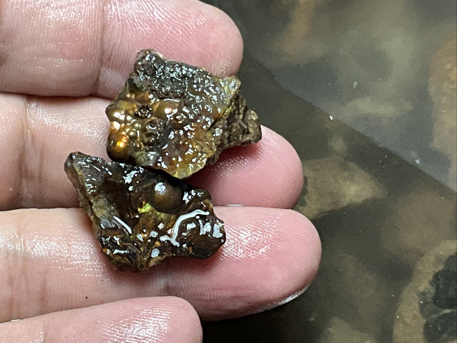 1/4 Pound Fire Agate Choice & Mid Grade Professionally Chosen Colorful Rough Lot