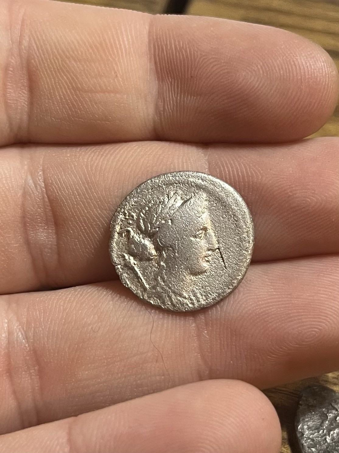 ROMAN REPUBLIC denarius 56BC Faustus Cornelius Sulla Rome mint Ancient Silver