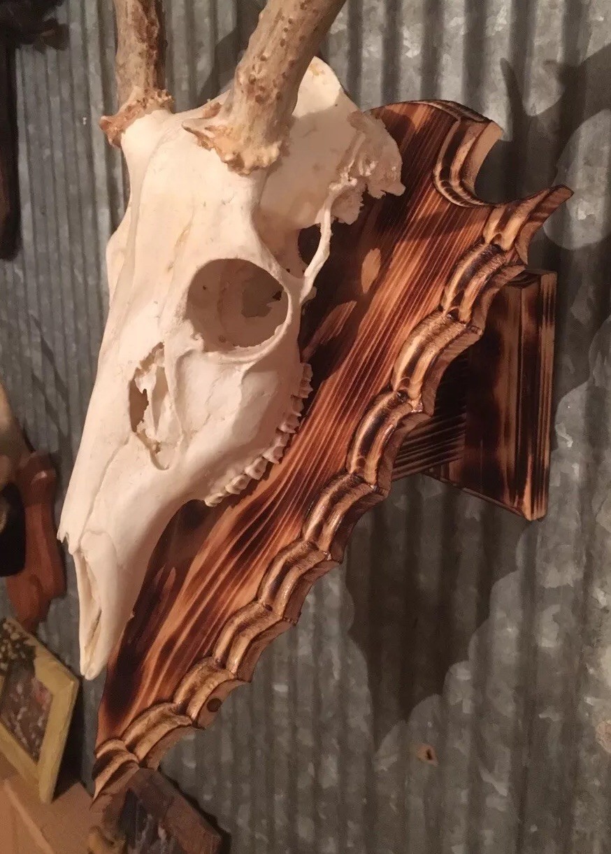 European Deer Skull Mount Wall / Table Pedestal Plaque Burned Pine Arrowhead