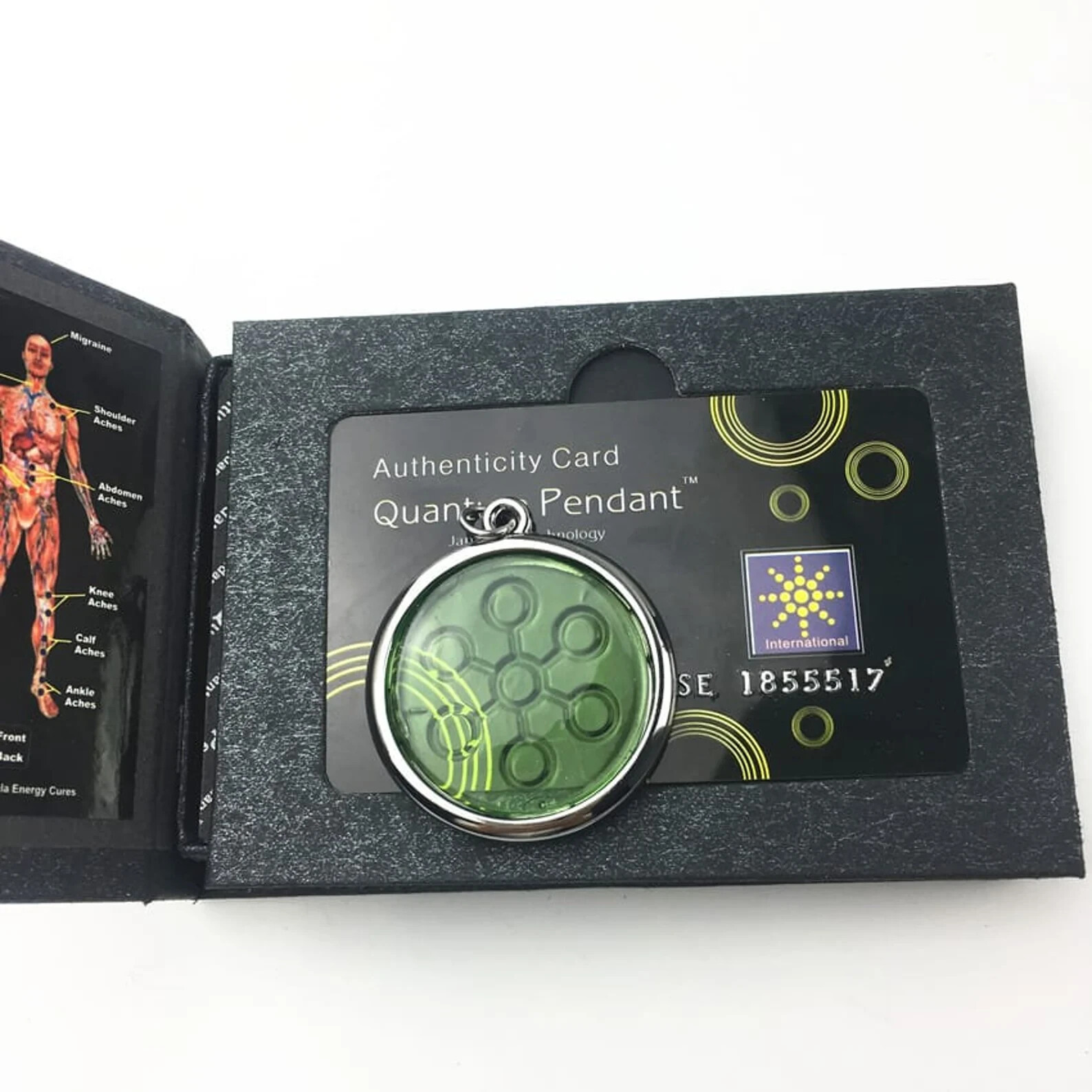 Bio Disc Glass Light Refracting Pendant