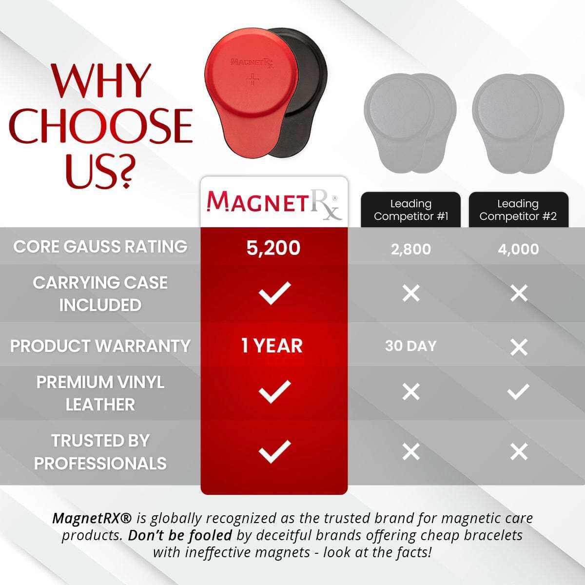 MagnetRX Biomagnetic Therapy Magnets Set (Large 6 Units)