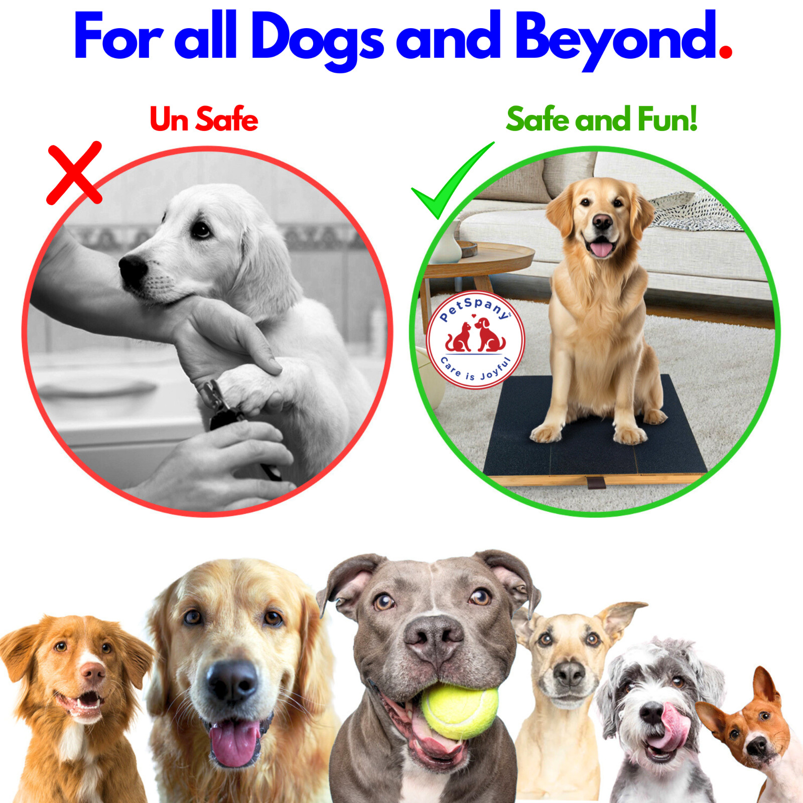 Dog Nail Scratch Board-Bamboo Scratch Pad with Treat Box-Dog Nail File Clipper