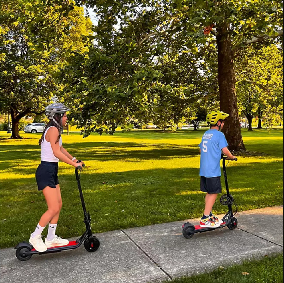 Segway Ninebot ZING C15 Electric Kick Scooter (Refurbished)