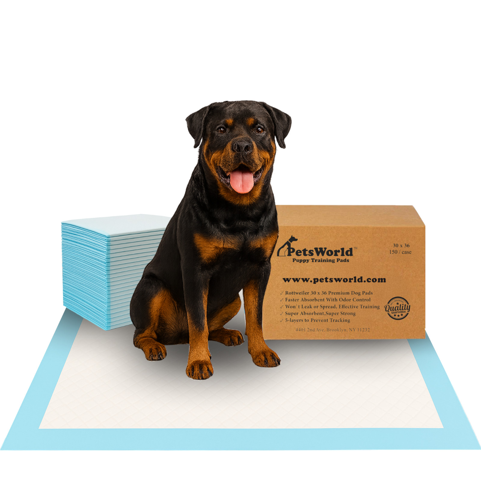 PETSWORLD Extra Large Dog Training & Potty Pads (30x36 inch) 50 - 600 Count