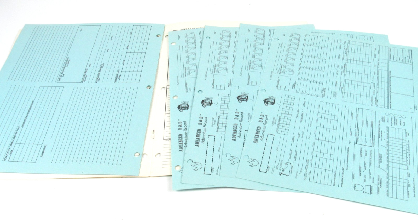 Dungeons Dragons TSR9029 Permanent Character Folder 1981 2nd Printing Original