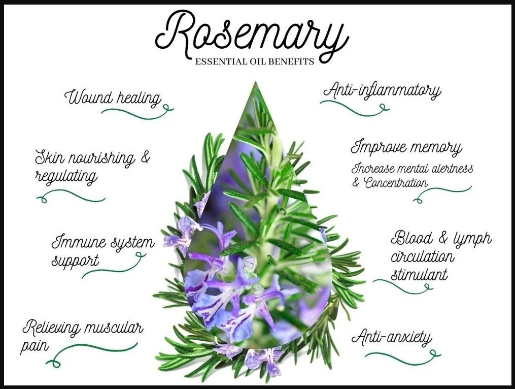 Rosemary Oil 100% Premium Therapeutic Grade Pure Virgin Natural, Hair Growth 4oz