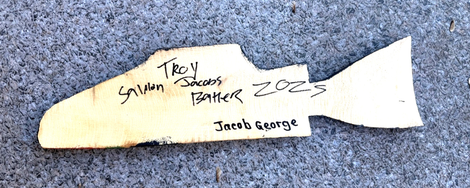 Northwest Coast Native Large Detailed Yellow Cedar burgandy Salmon wood carving